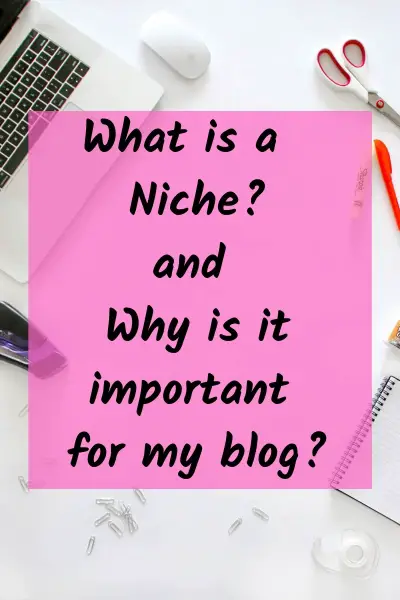 How to choose your blog niche | What is a blog niche 