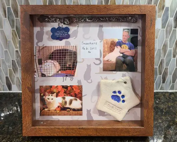 How To Make A Shadow Box Memorial Layout For Your Cat