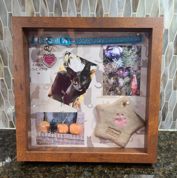 How To Make A Shadow Box Memorial Layout For Your Cat