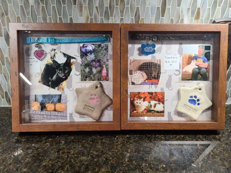 How To Make A Shadow Box Memorial Layout For Your cat
