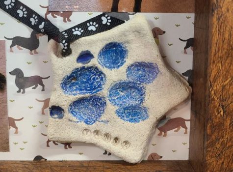 How To Make a Salt Dough Pet Paw Print of Your Cat or Dog?