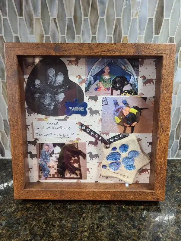 How To Make A Shadow Box Memorial Layout For Your Dog